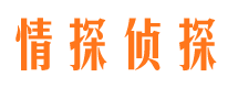 长阳侦探公司